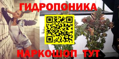 соль ск Кулебаки