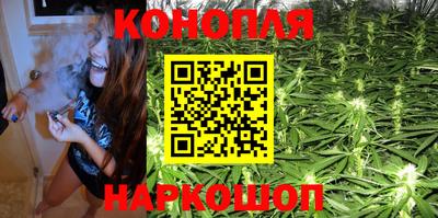 стаф Краснодар
