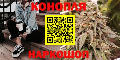 стаф Краснодар