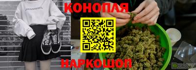 стаф Краснодар