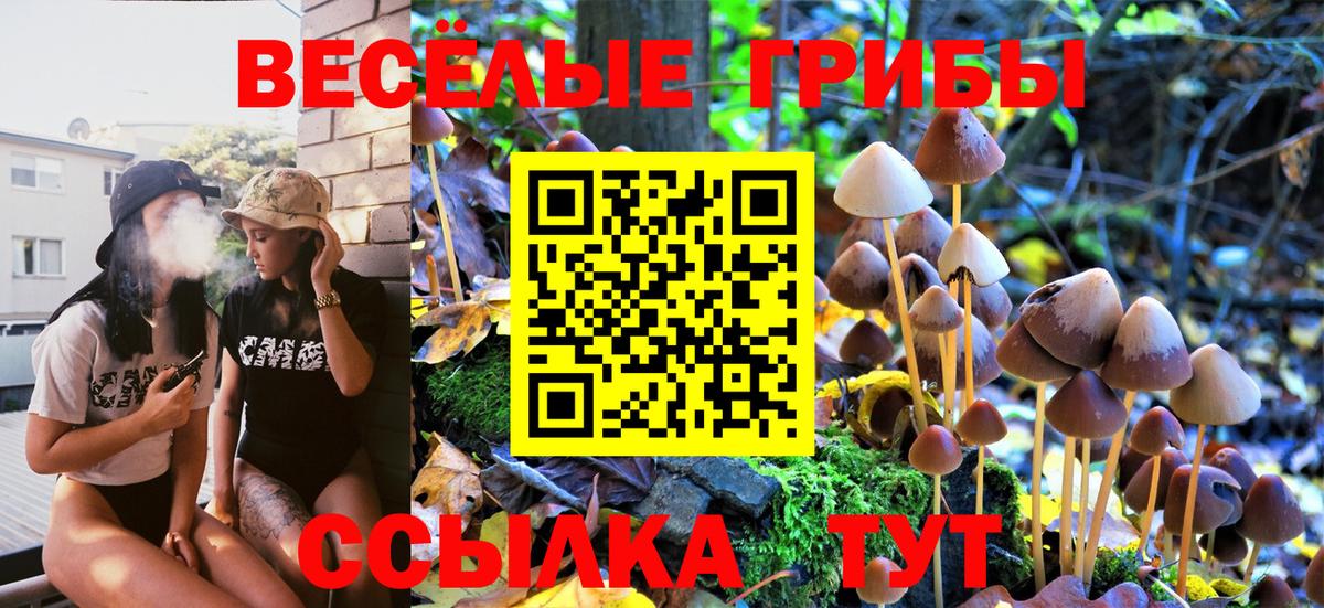 Псилоцибиновые грибы GOLDEN TEACHER Кировск