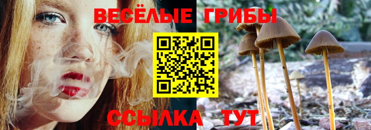 Галлюциногенные грибы MAGIC MUSHROOMS  Вход с VPN  Псилоцибиновые грибы мицелий  Кировск 